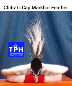 White ChitraLi Cap Markhor Feather