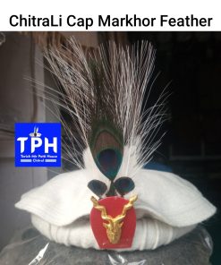 White ChitraLi Cap With Markhor Feather