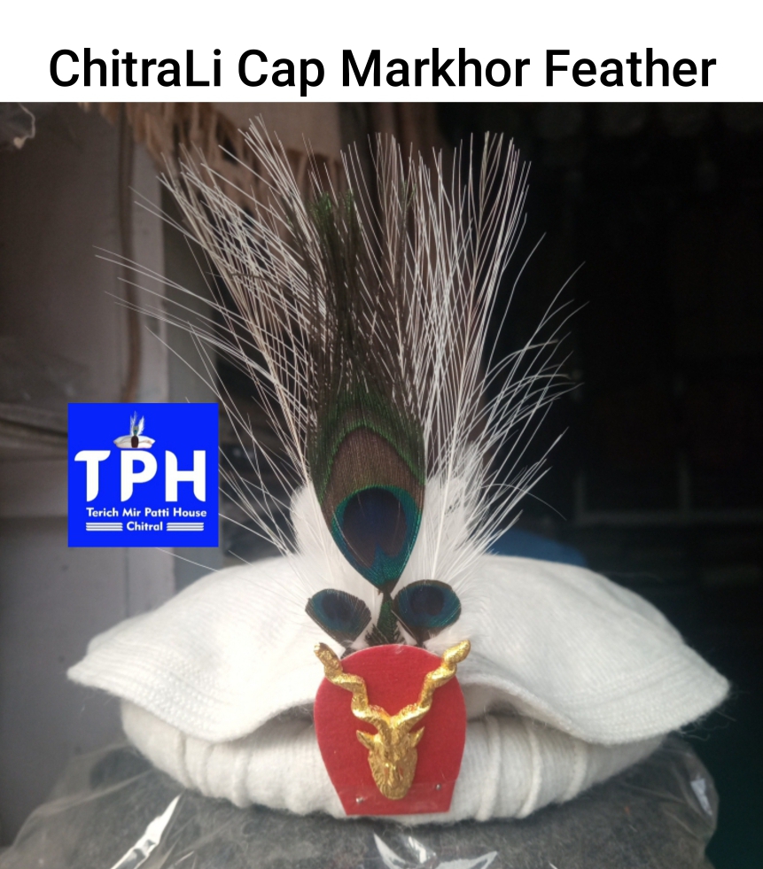 White ChitraLi Cap With Markhor Feather