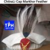 White ChitraLi Cap with Markhor Feather