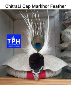 ChitraLi Cap With Markhor Feather