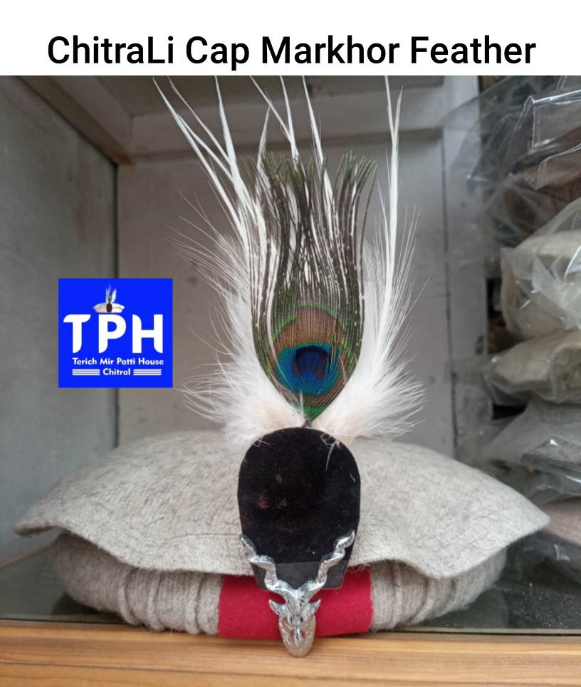 ChitraLi Cap With Markhor Feather