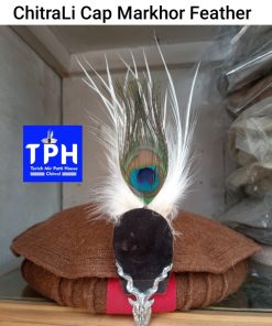 ChitraLi Cap Markhor Feather