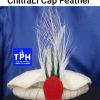White ChitraLi Cap Feather