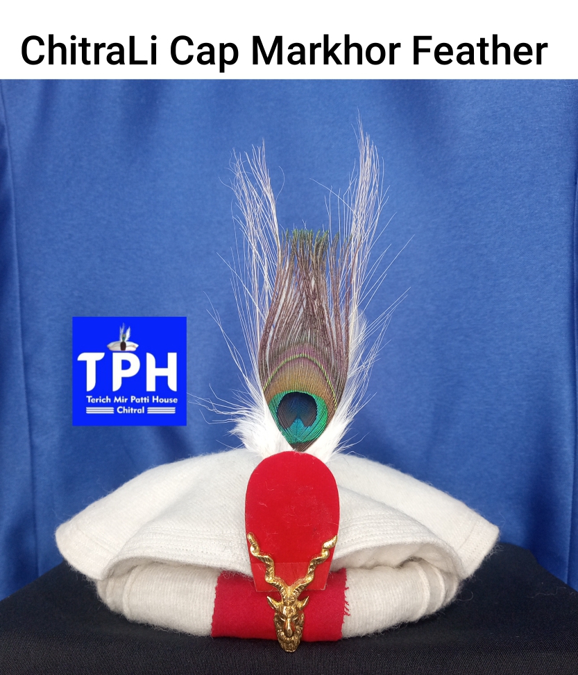 White ChitraLi Cap Markhor Feather