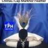 White ChitraLi Cap Markhor Feather