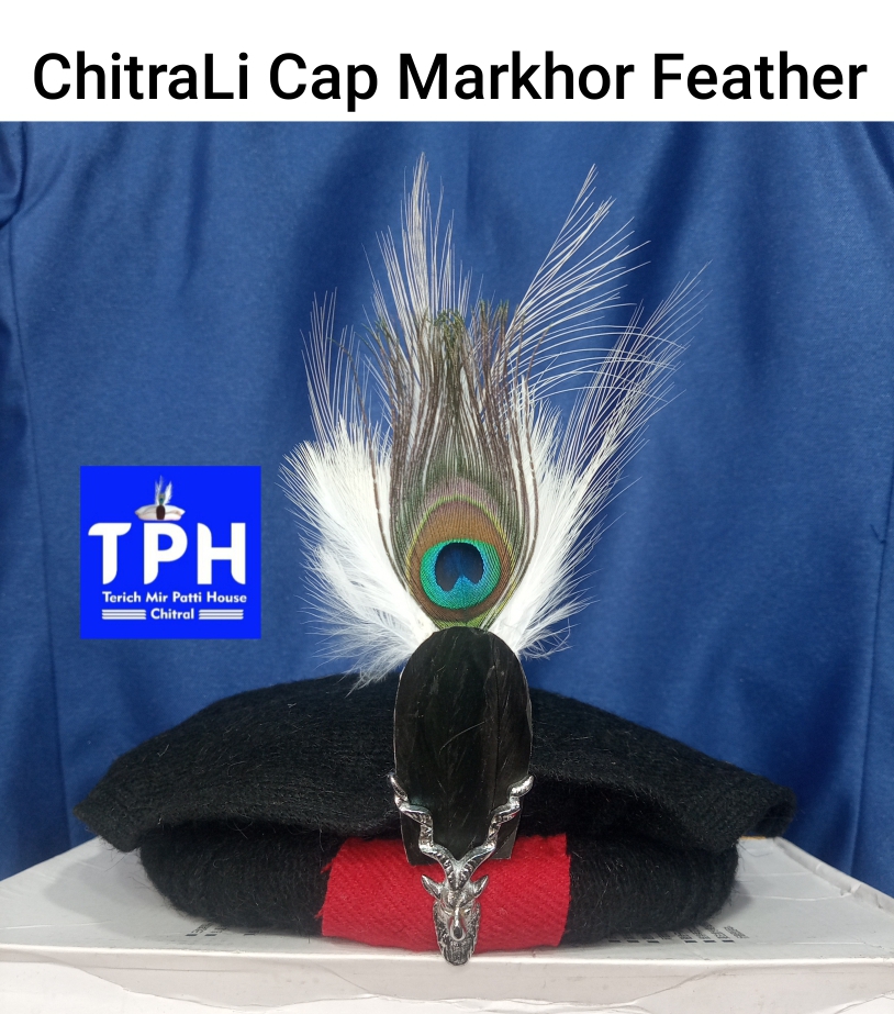 Black ChitraLi Cap Markhor Feather