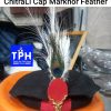 Black ChitraLi Cap Markhor Feather