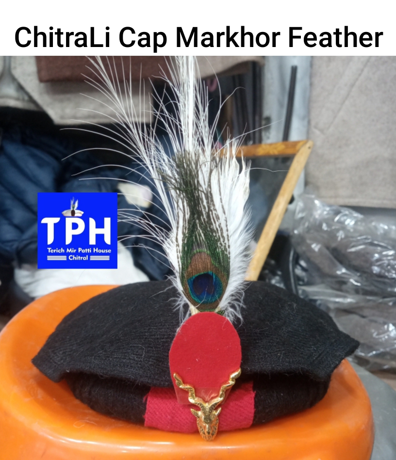 Black ChitraLi Cap Markhor Feather