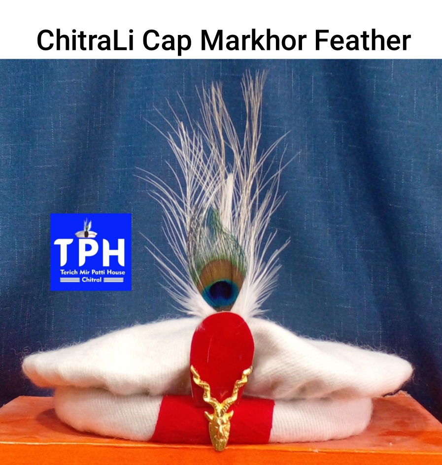 White ChitraLi Cap Markhor Feather