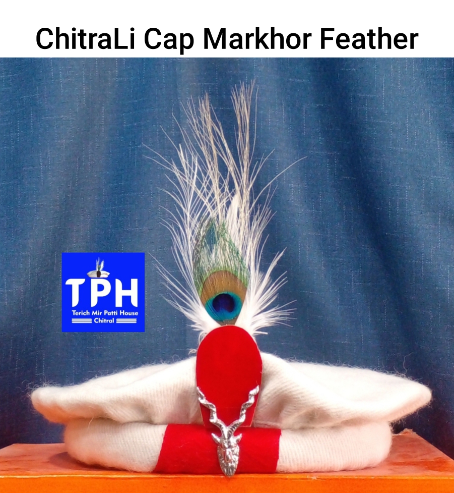 White ChitraLi Cap Markhor Feather