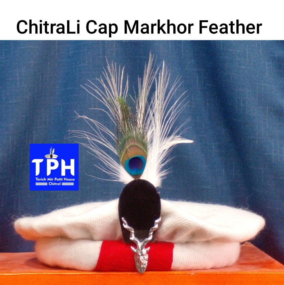 White Chitrali Cap Markhor Feather