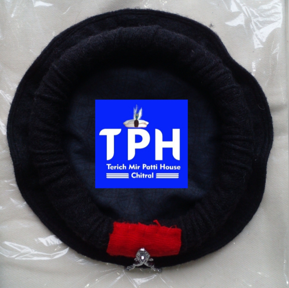 Black ChitraLi Children Cap Markhor Feather - Image 3