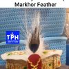 Embroidery Chitrali Cap With Markhor Feather
