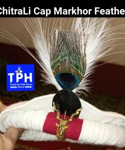 White ChitraLi Cap With Markhor Feather