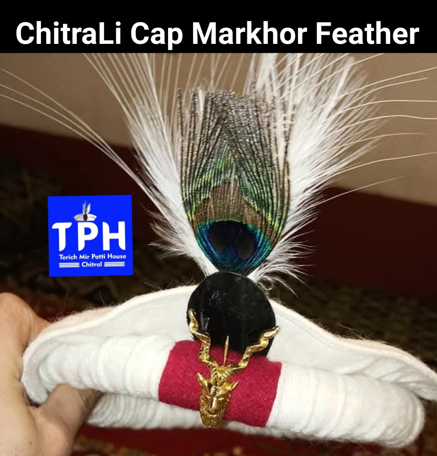 White ChitraLi Cap With Markhor Feather