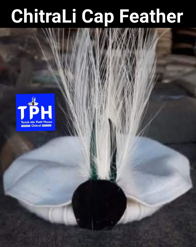 White ChitraLi Cap Feather