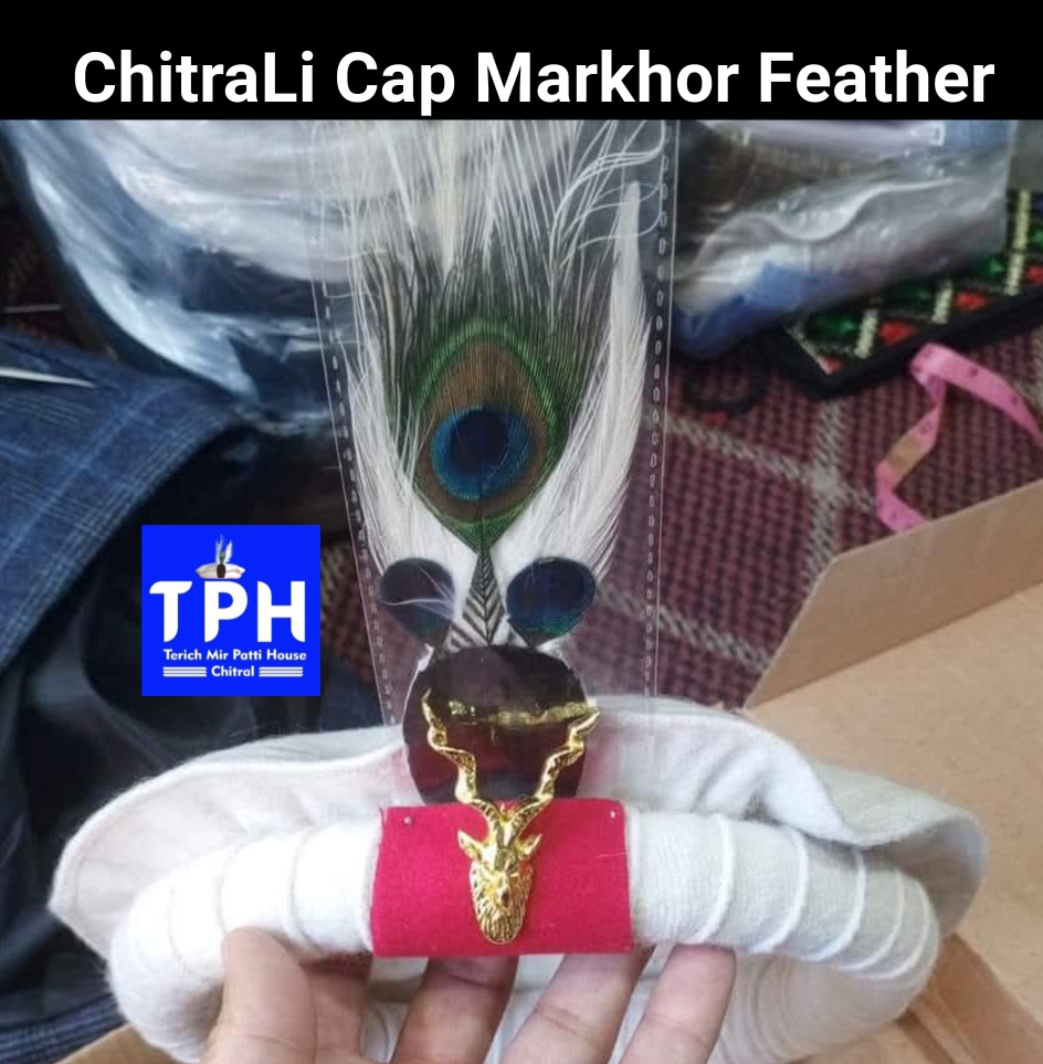 White ChitraLi Cap With Markhor Feather