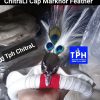 White ChitraLi Cap Markhor Feather