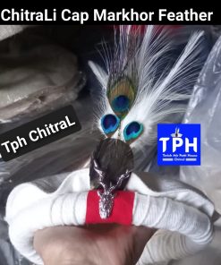 White ChitraLi Cap Markhor Feather