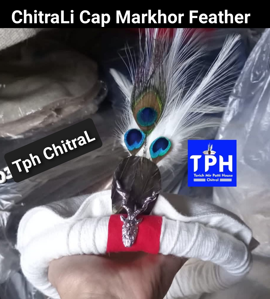 White ChitraLi Cap Markhor Feather