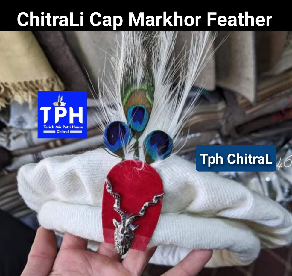 White ChitraLi Cap With Markhor Feather